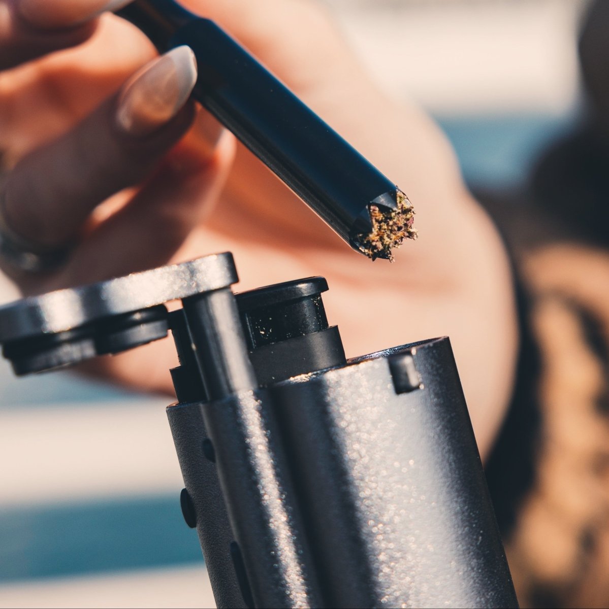 Best Dugout of 2025? Pirate Pipe and The Pearl Dominate the Field - Willem David Products