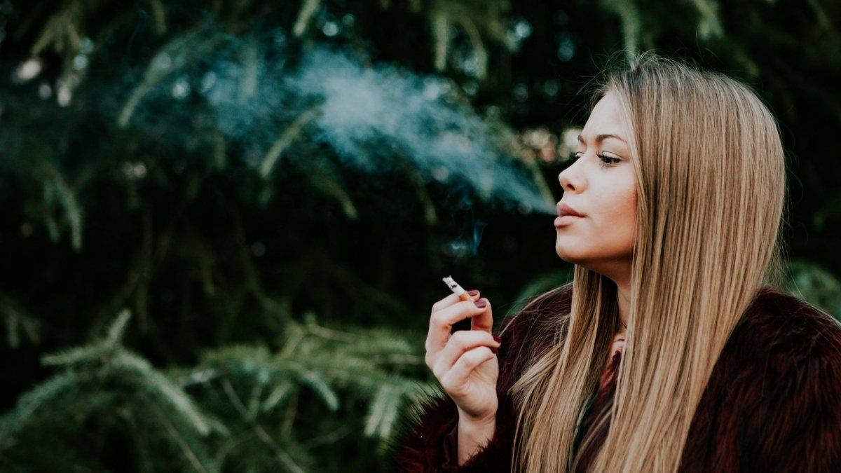 Dugout Do's and Don'ts: Tips for A Better Smoking Experience - Willem David Products