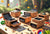 Small Dugout Kits for Festivals Essential Gear for Easy Smoking On-the-Go - Willem David Products