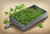 Weed Dugout: The Essential Guide to Your Smoking Companion - Willem David Products