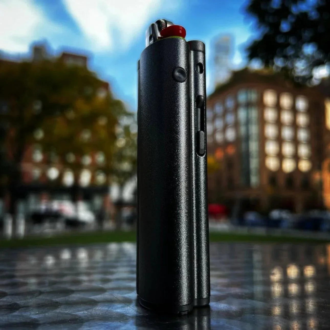 The PIRATE PIPE - WillemDavid